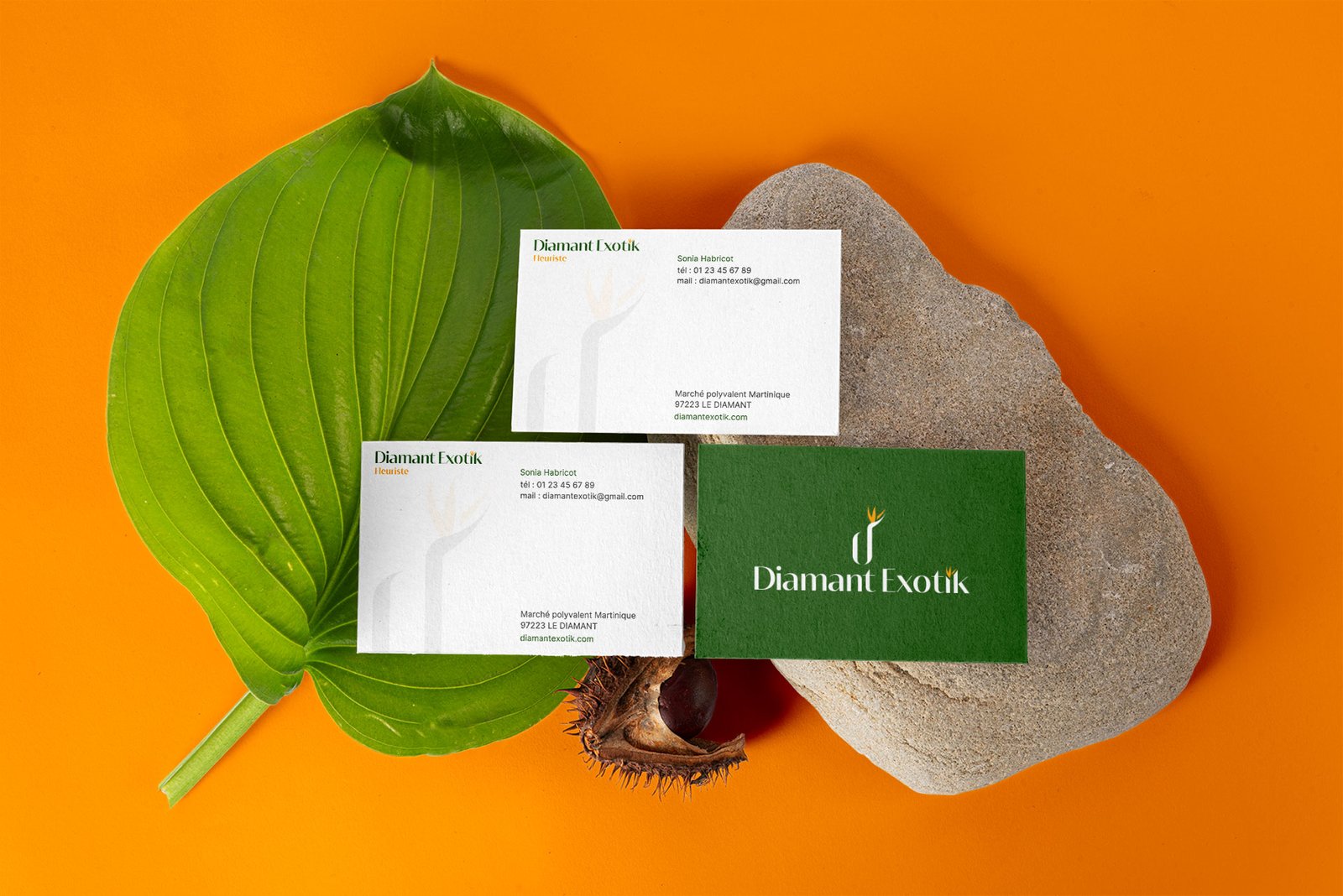 Business-Card-Mockups Cartes de visite Diamant Exotik