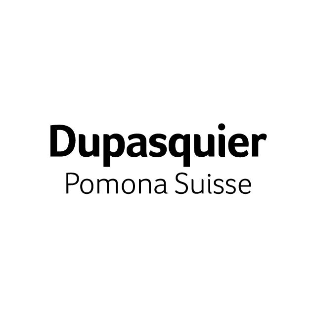 Logo Dupasquier
