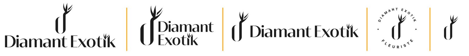 diamant_exotik_logos_versions Versions du logo Diamant Exotik
